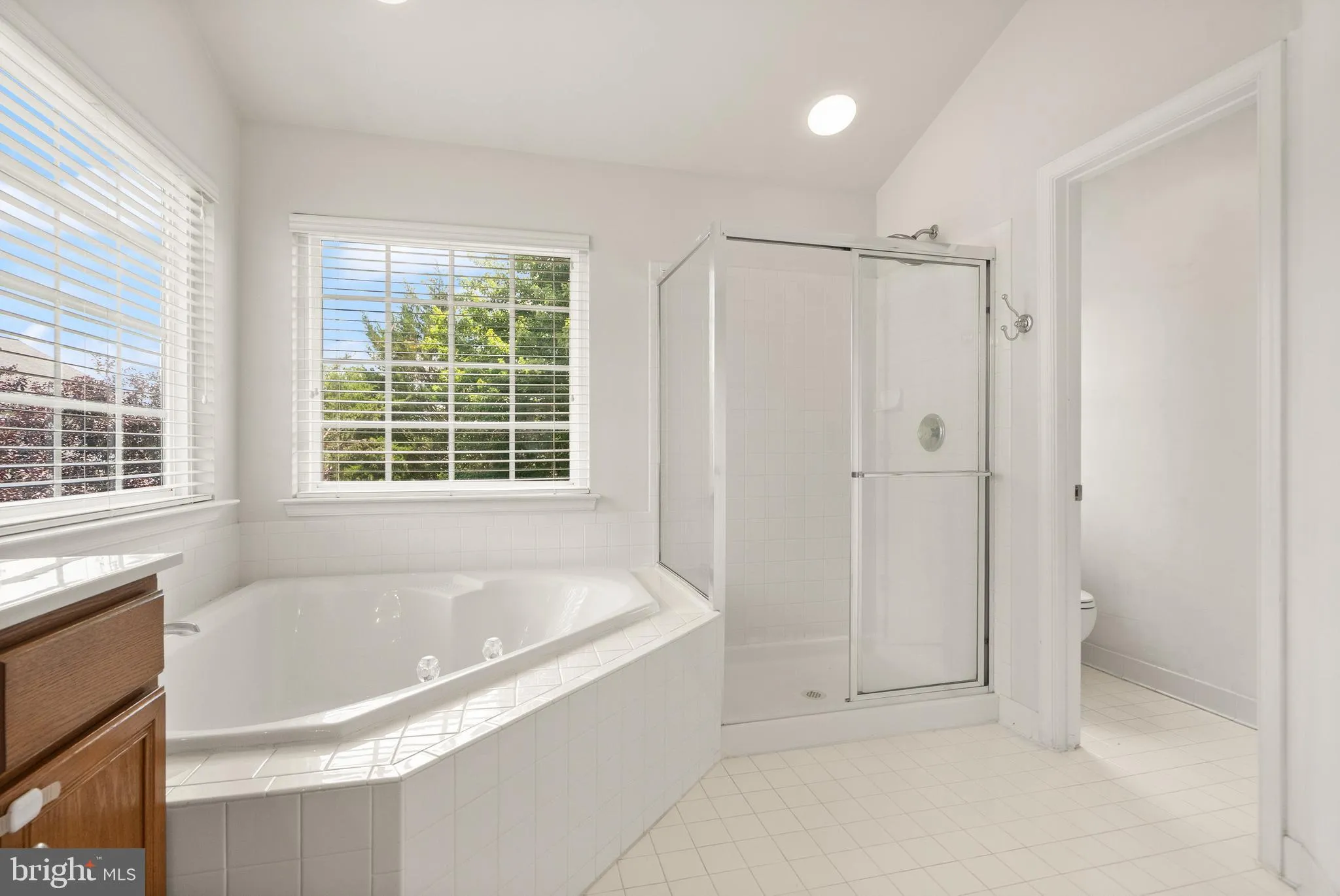 Bristow, Virginia 20136, United States, 6 Bedrooms Bedrooms, ,4 BathroomsBathrooms,Residential,Coming Soon,165263