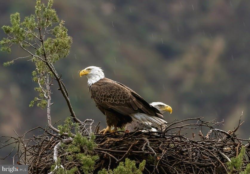 614 GRAYSTONES JERAS RD LOT HV-2