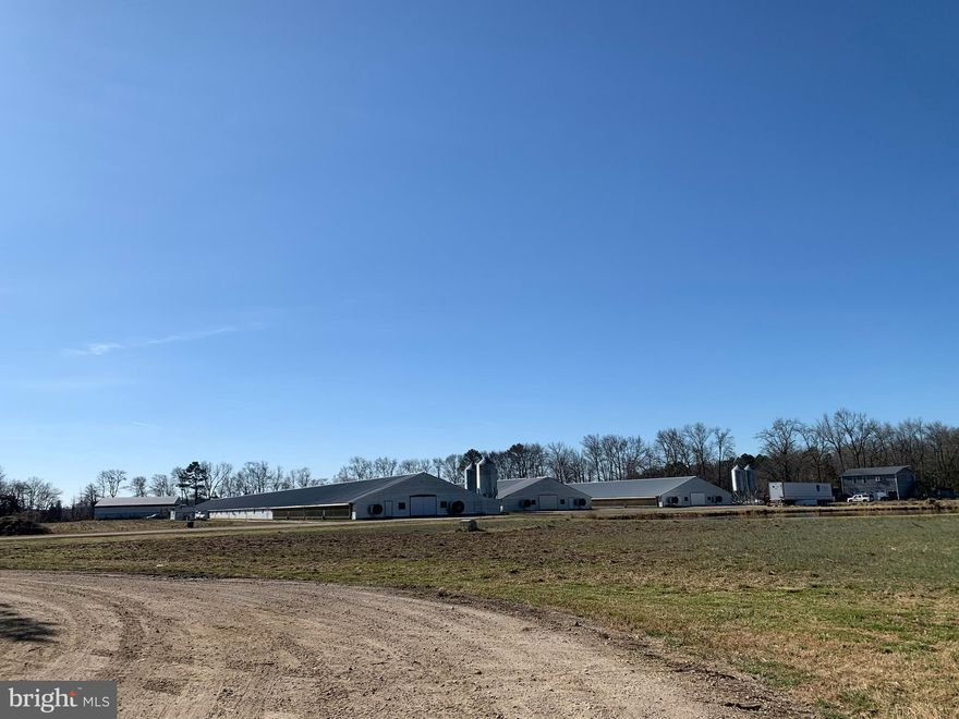 Over 111 acres with nice home and nine chicken houses!  Chicken houses are as follows:  6 - 60 x 600 built in 2017,  1 - 60 x 560 built in 2013 and 2 - 60 x 500 built in 2010. - Total of 309,600 Square Feet.  Growing for Allen Harim, GAP Program, no upgrades should be needed.