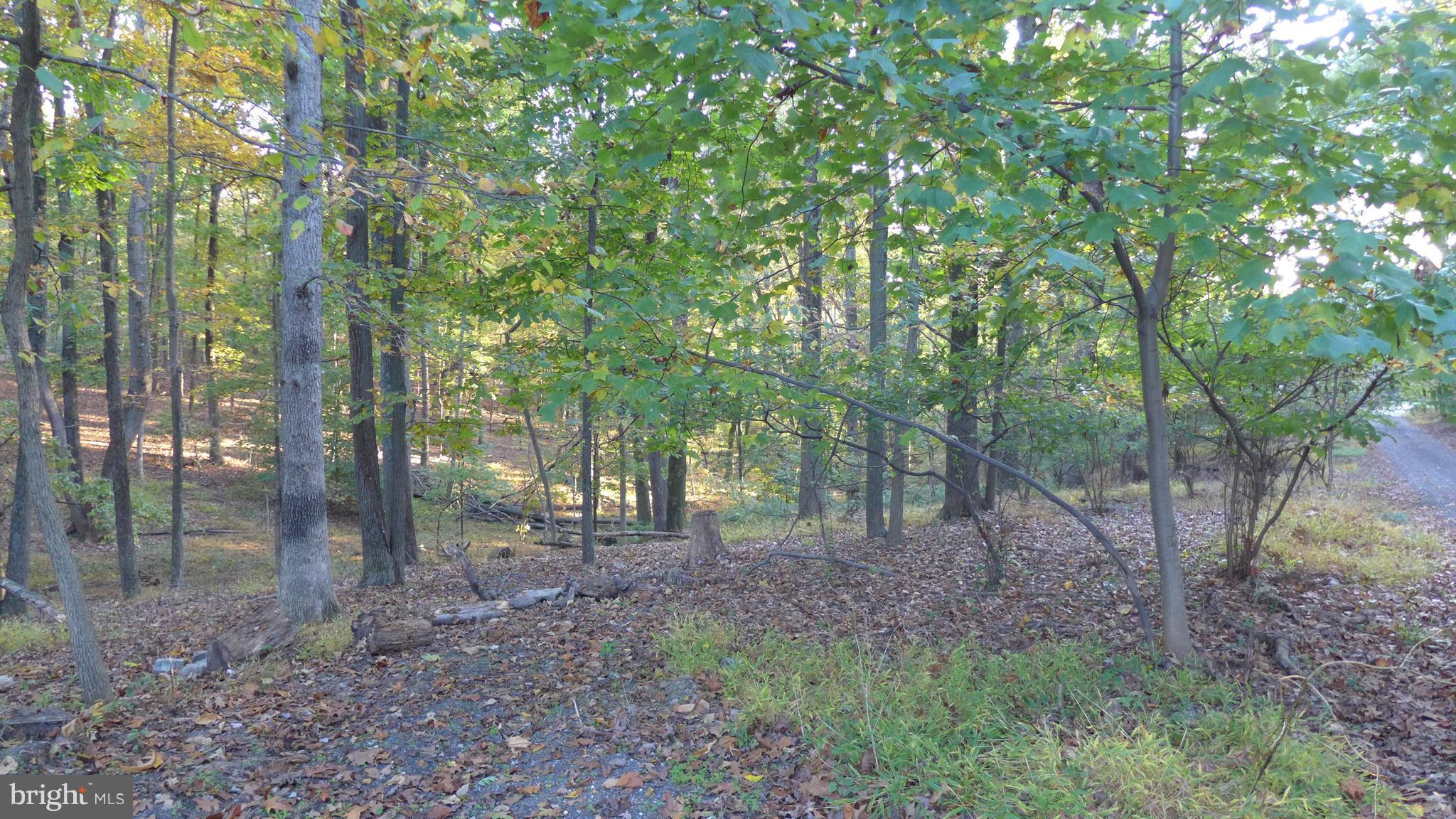 NONE AVAILABLE - Land