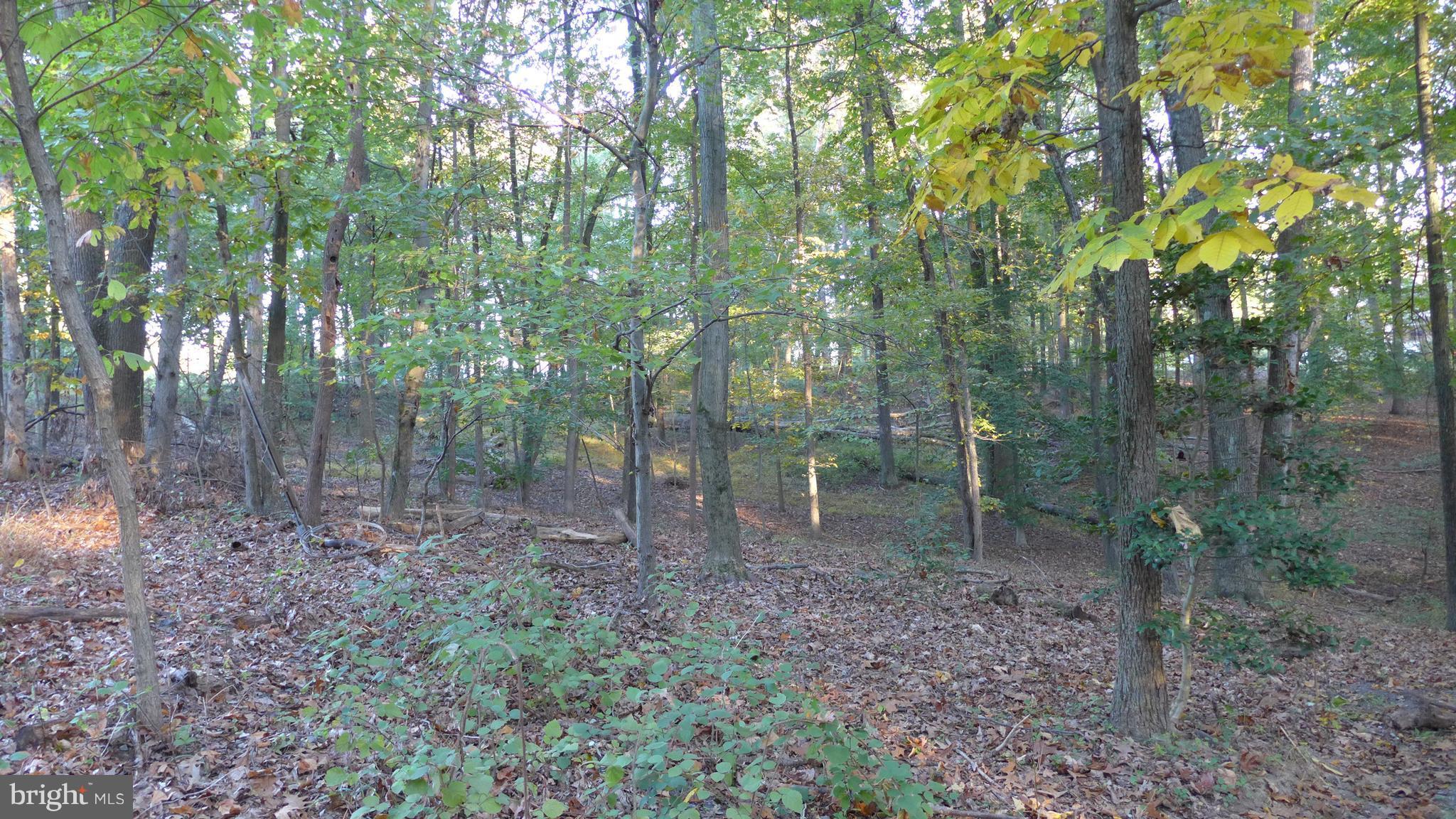 NONE AVAILABLE - Land