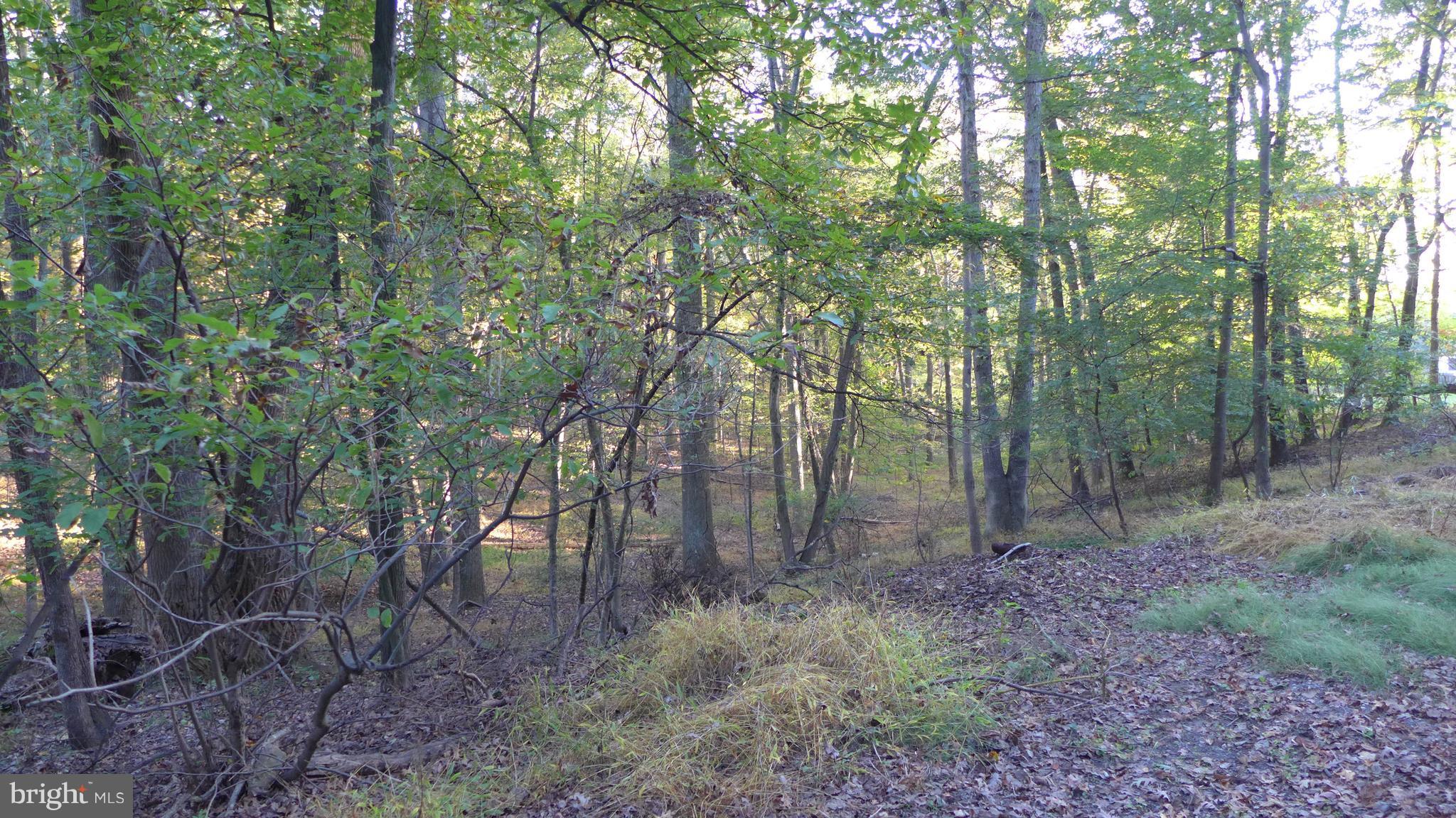 NONE AVAILABLE - Land