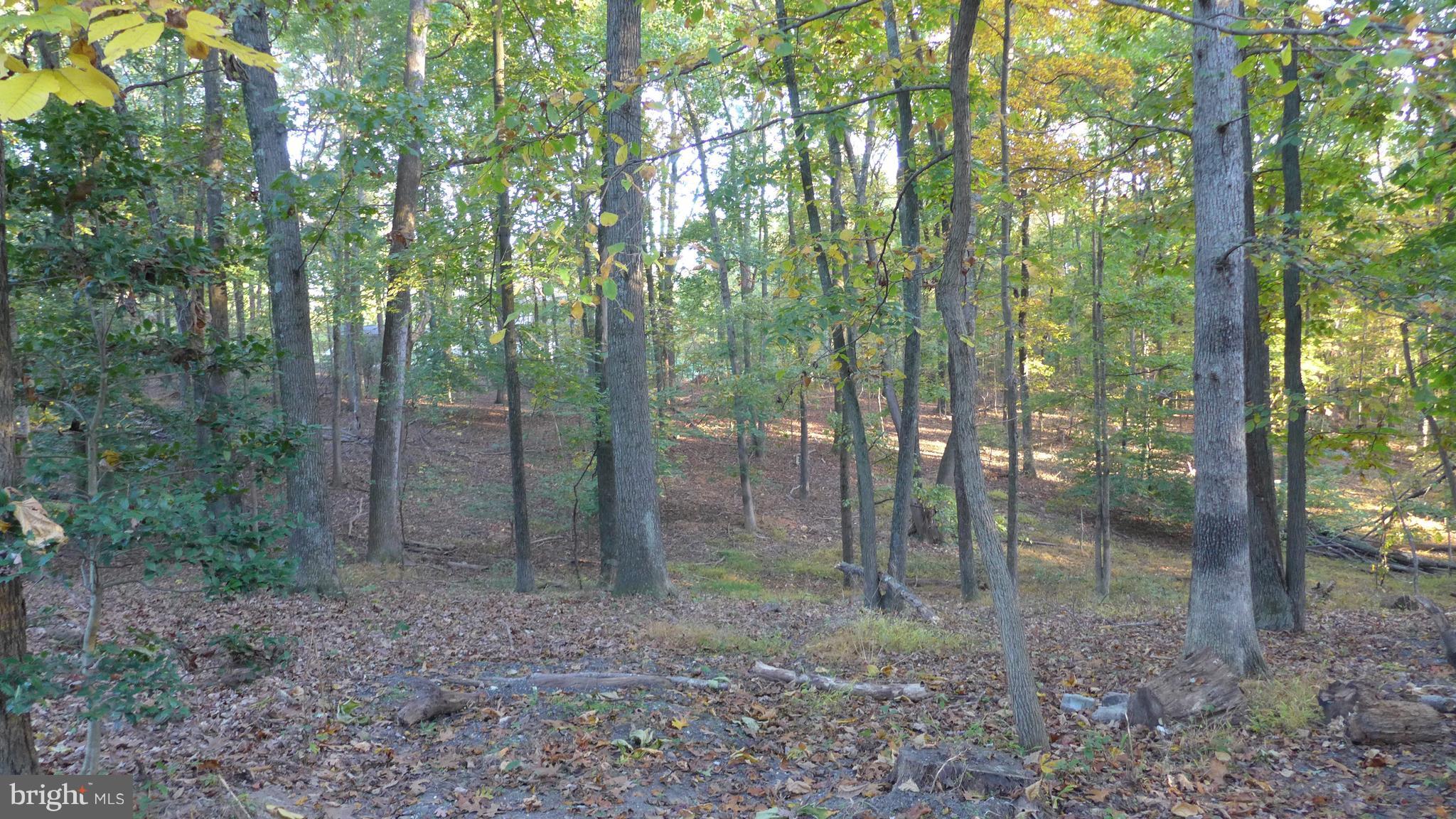 NONE AVAILABLE - Land