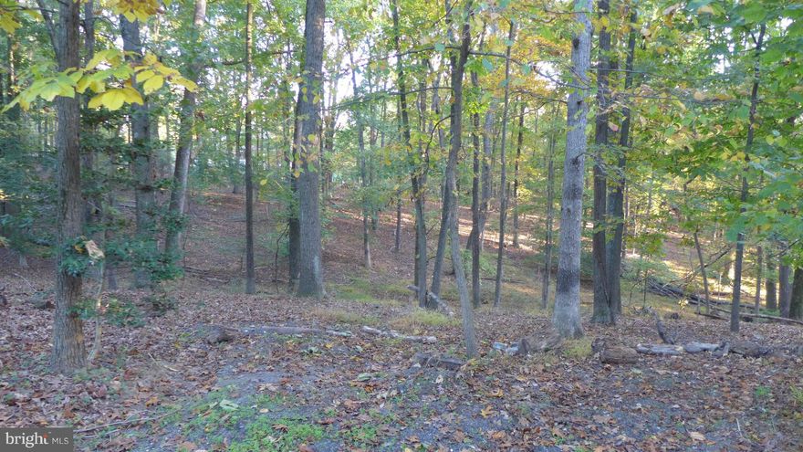 Beautiful parcel of land in the Heart of Highland! This wooded wonderland has been perced and well installed! This country lane has been a well kept secret- and now you have the opportunity to build your dream home nestled in a beautiful setting. Excellent schools, convenient to major commuter routes, shopping and restaurants. Old time character with a blend of modern sophistication!