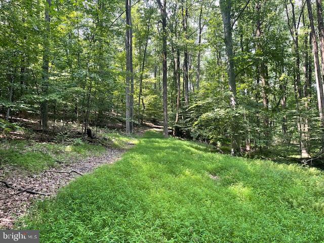 13673 TAYLORSTOWN ROAD