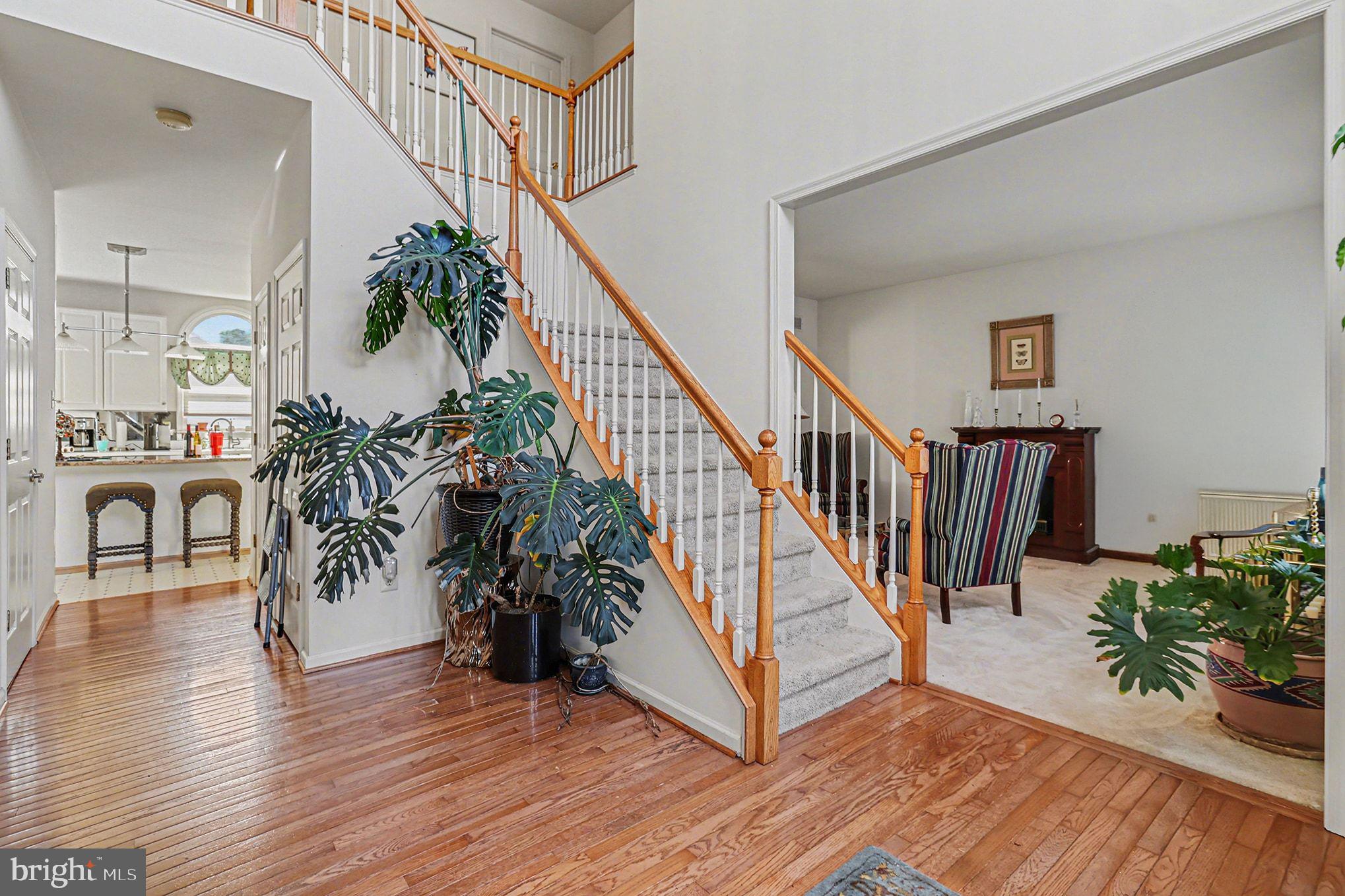 NORTHBRANCH - Residential