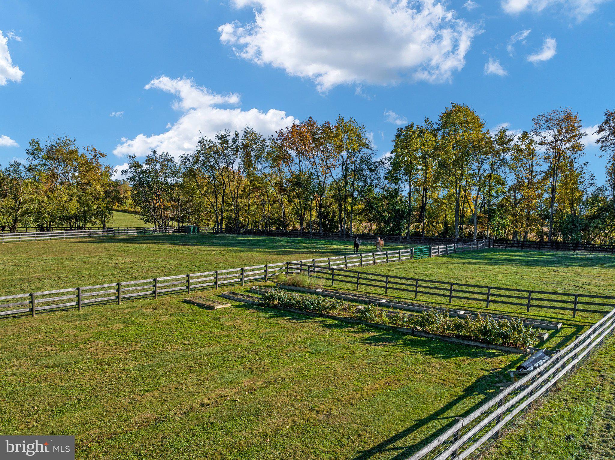 EVERHART FARM PROPERTIES - Residential