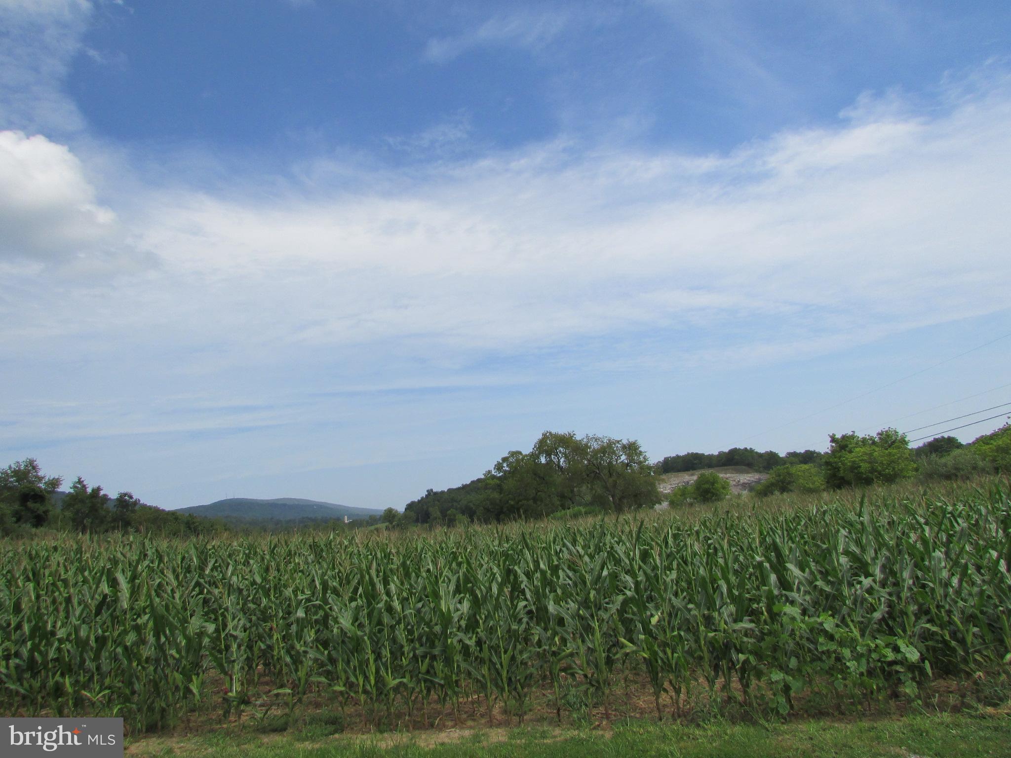 NONE AVAILABLE - Land