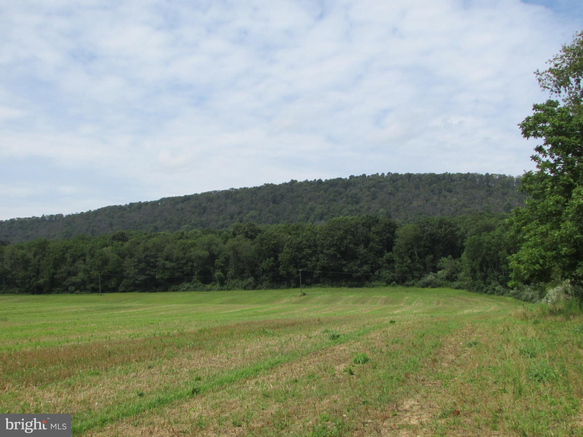 NONE AVAILABLE - Land