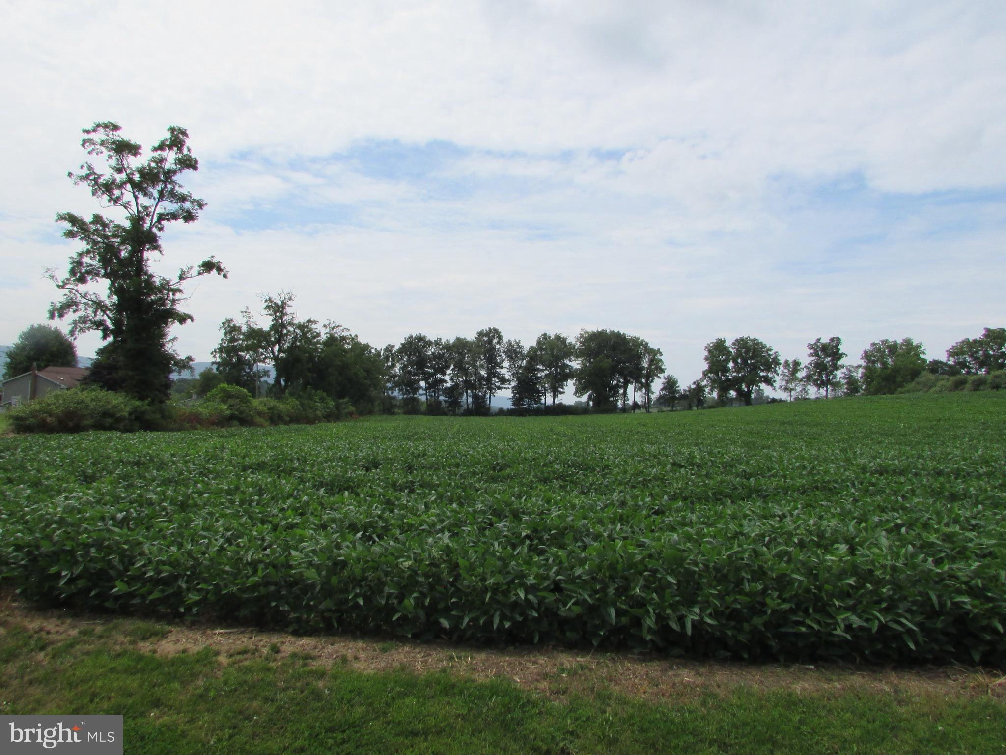 NONE AVAILABLE - Land