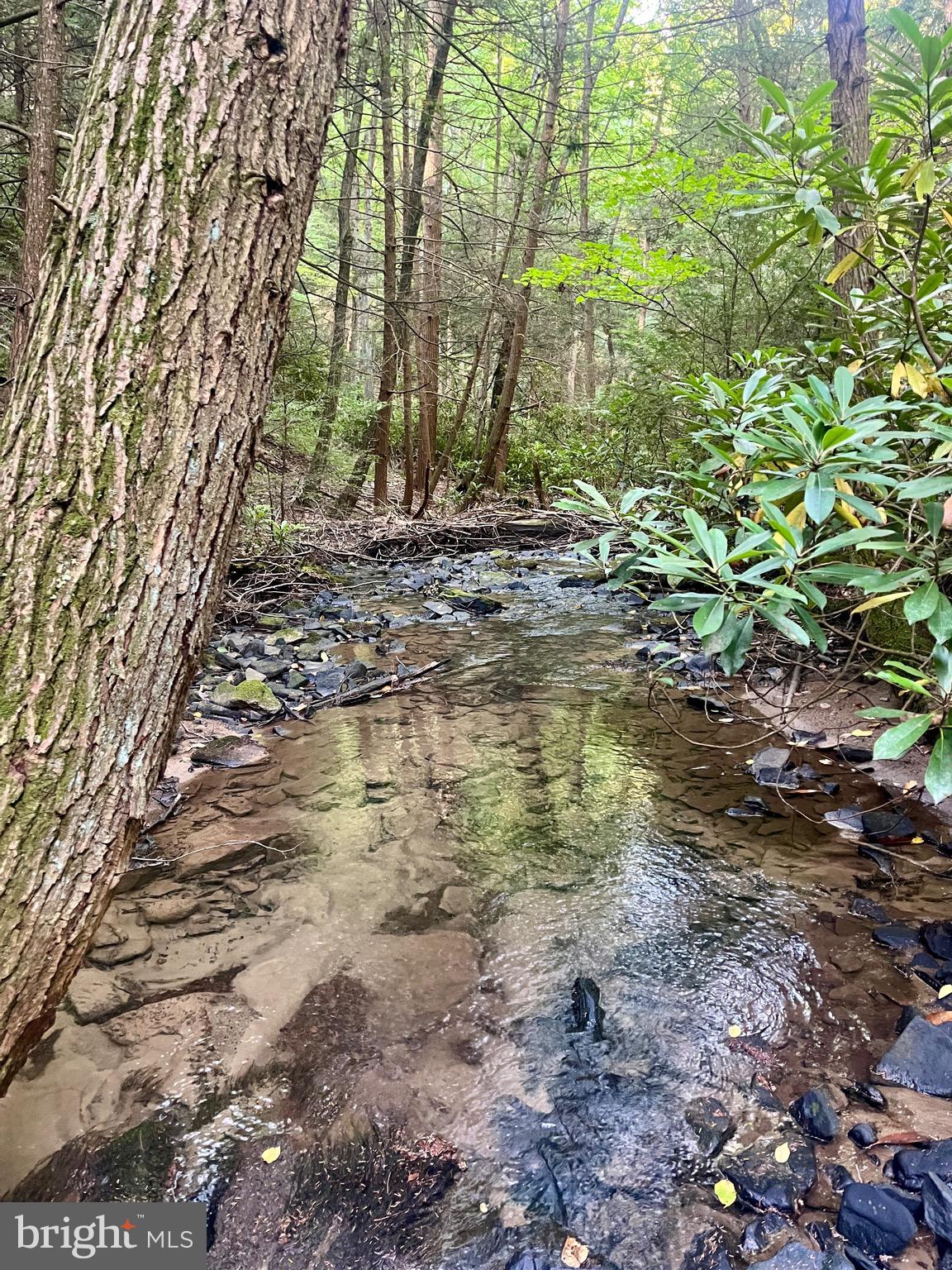 35 & 36 BEECH CREEK MOUNTAIN ROAD