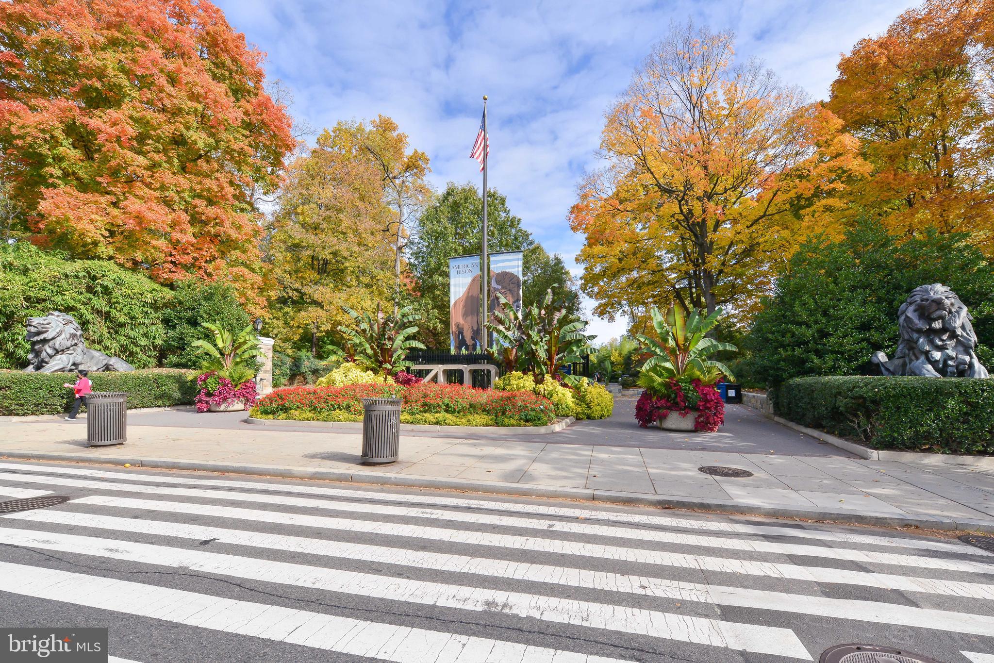 MOUNT PLEASANT - Residential