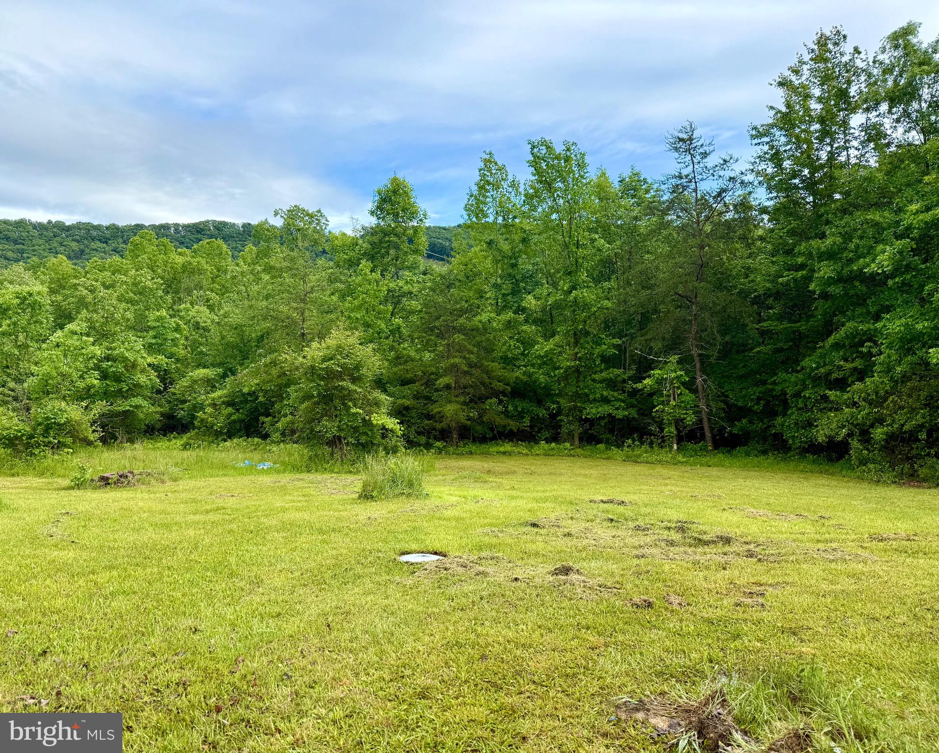 LAKE FERNDALE - Residential