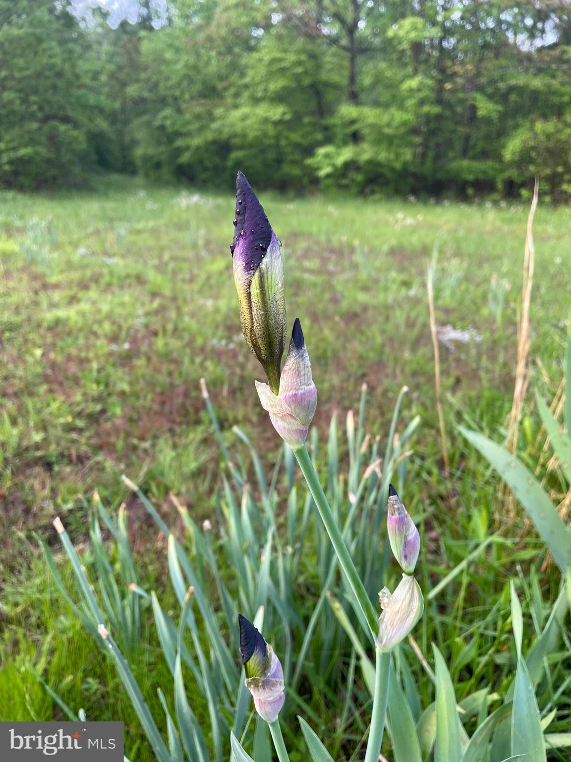 LAKE FERNDALE - Residential