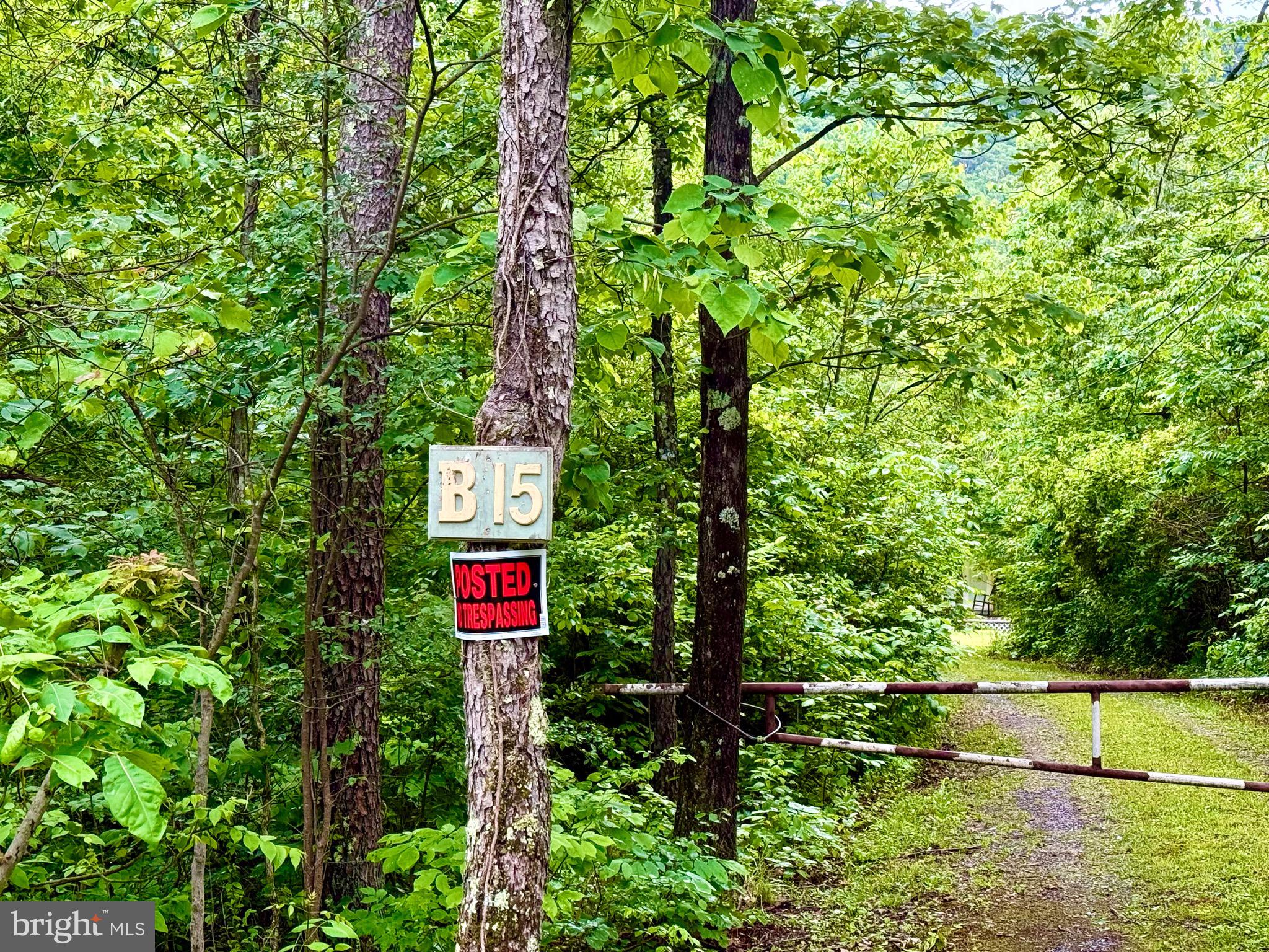 LAKE FERNDALE - Residential