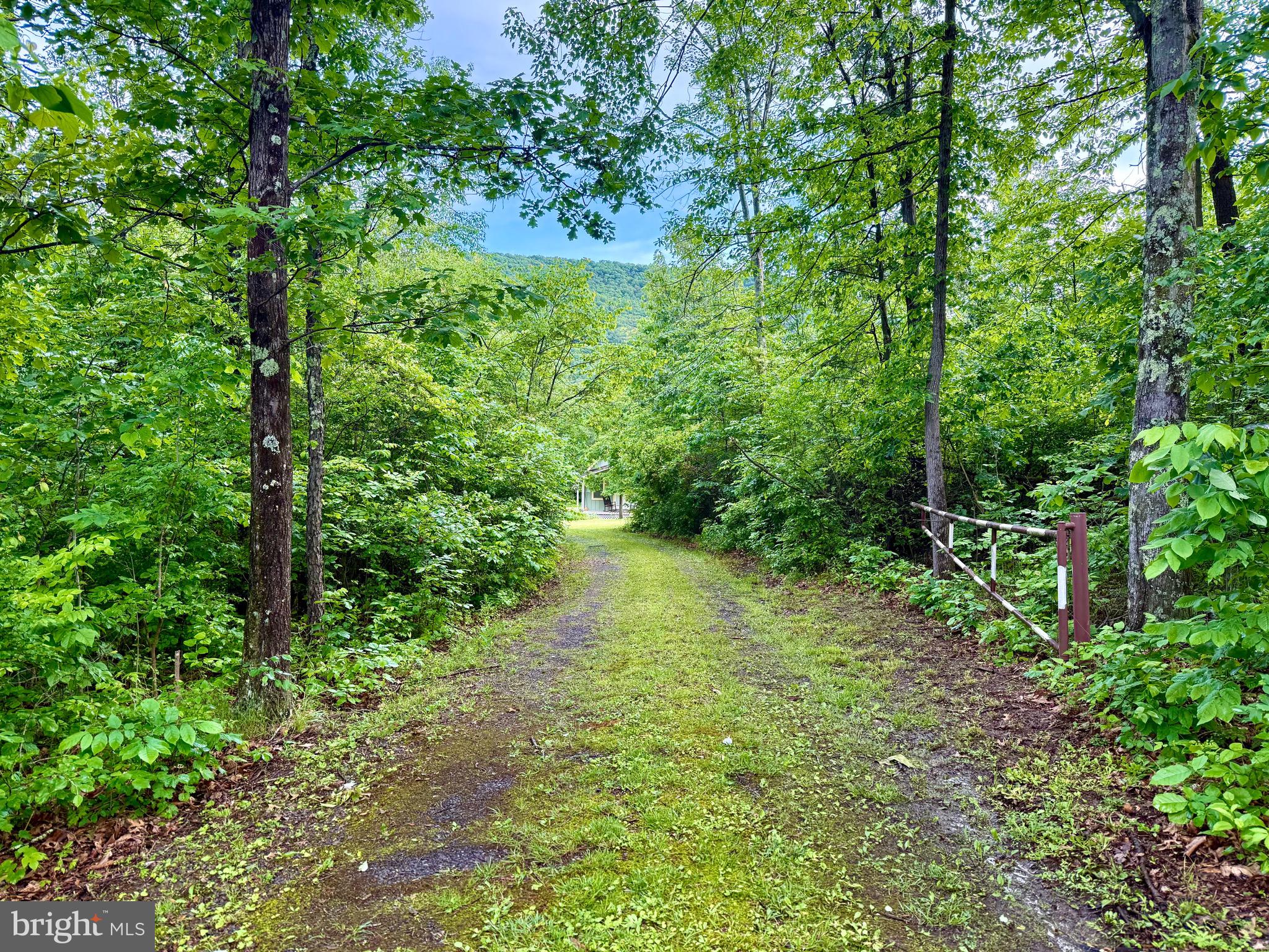 LAKE FERNDALE - Residential
