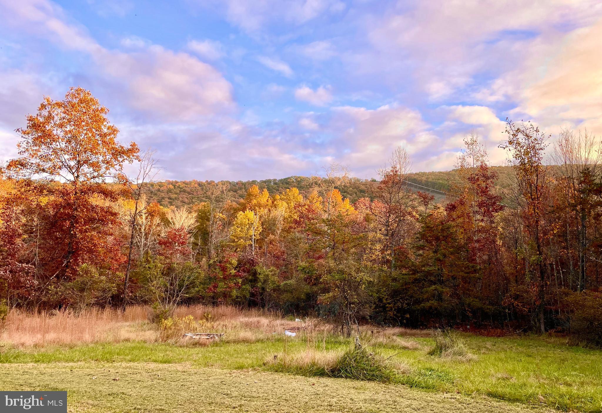 LAKE FERNDALE - Residential