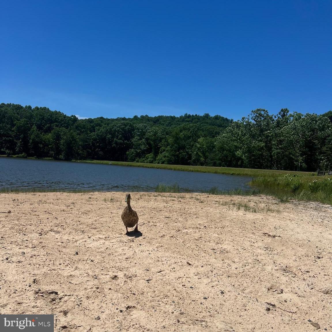 LAKE FERNDALE - Residential