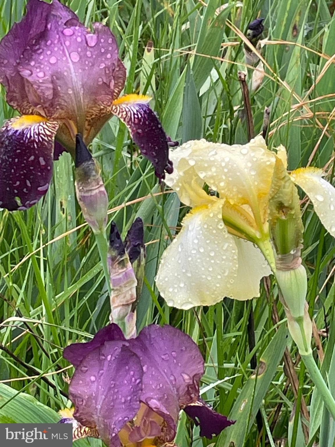 LAKE FERNDALE - Residential