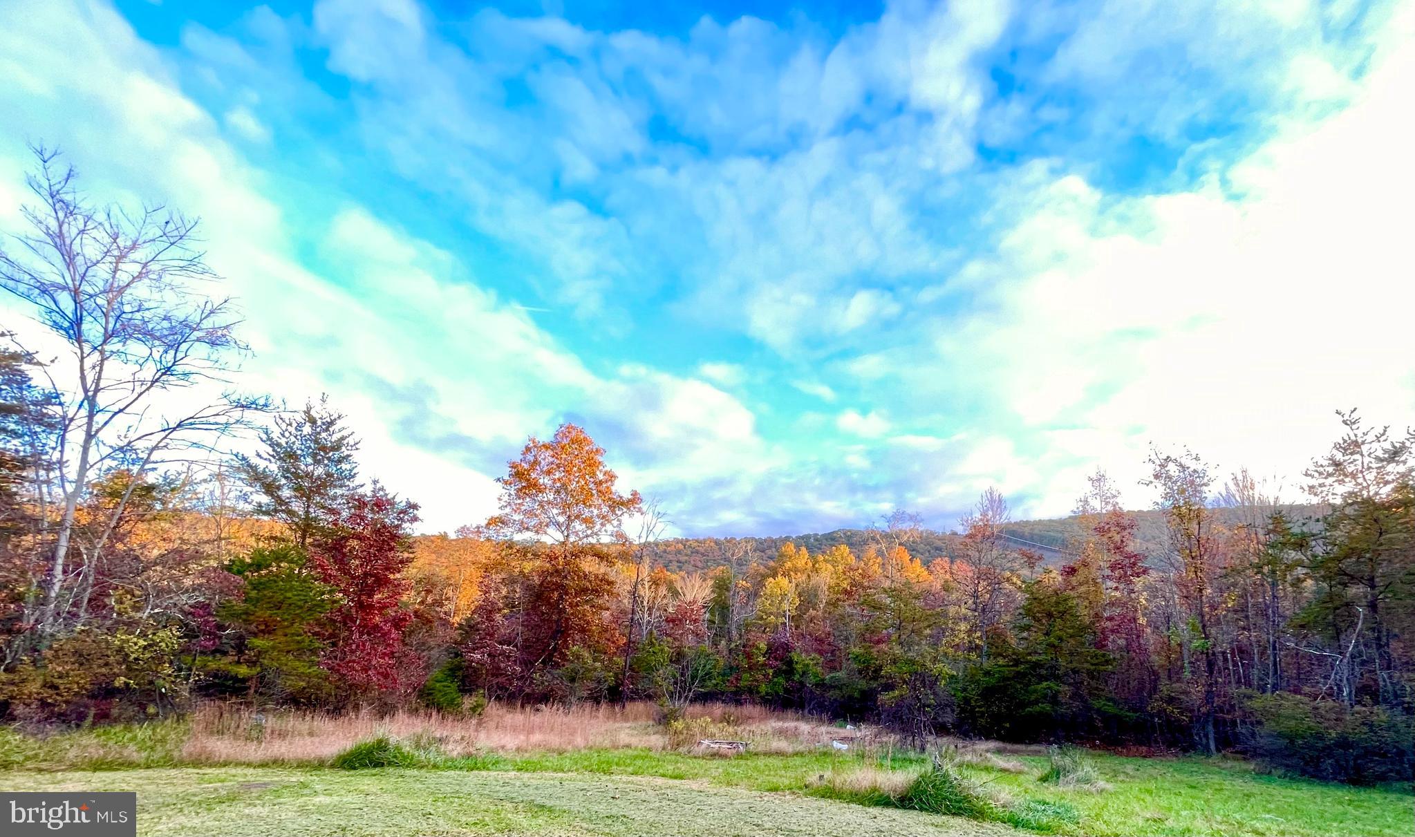 LAKE FERNDALE - Residential