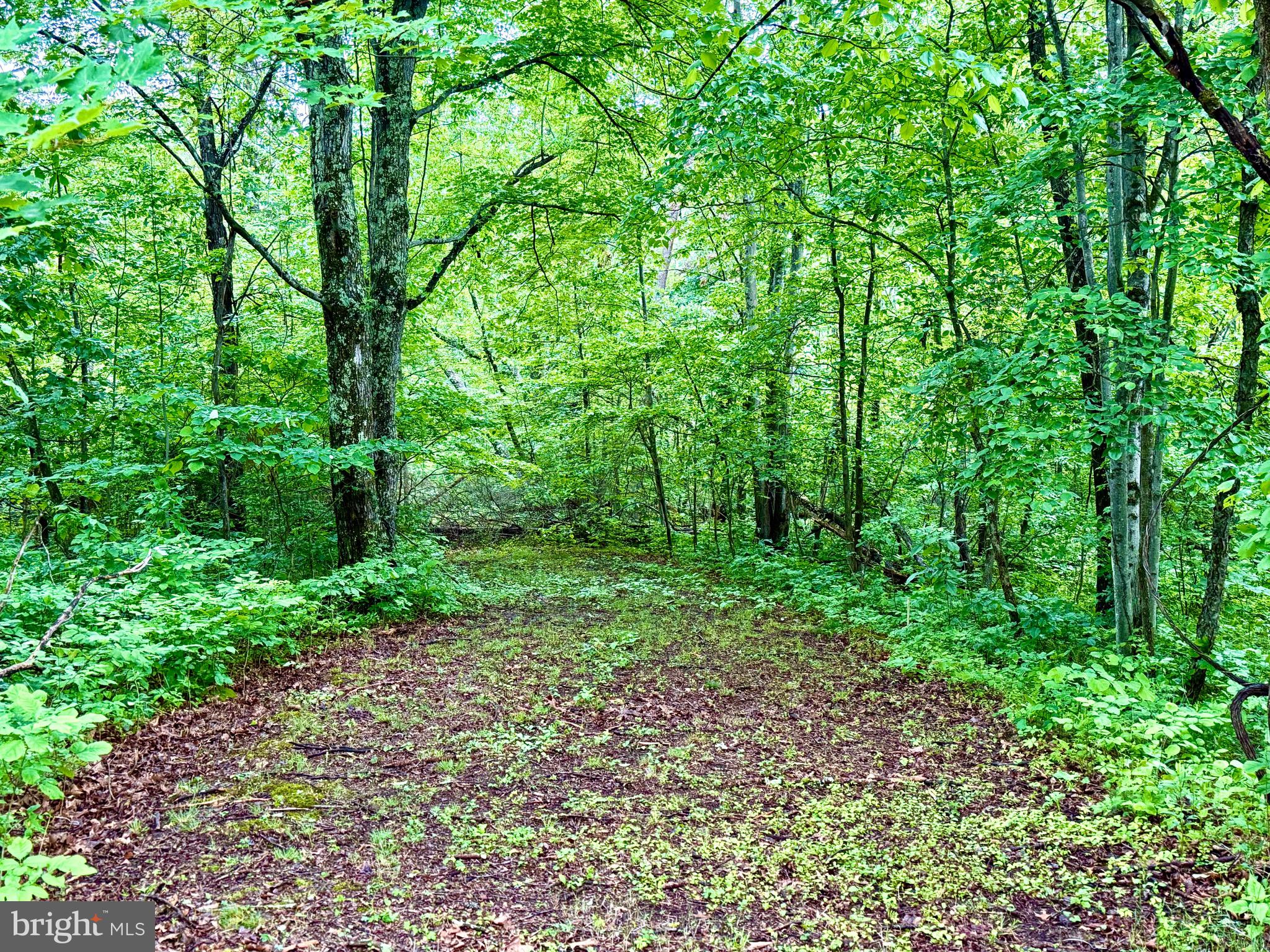 LAKE FERNDALE - Residential