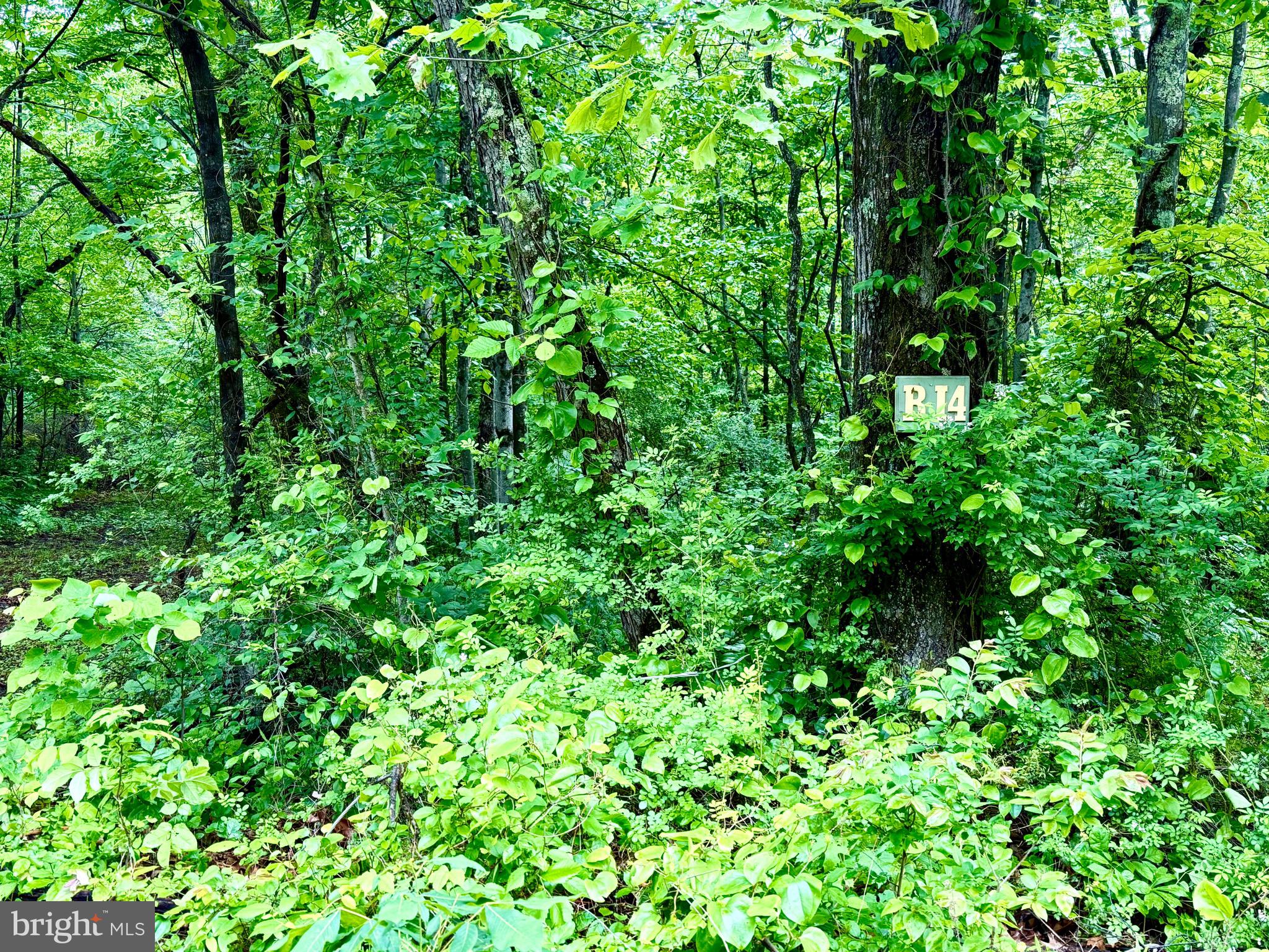 LAKE FERNDALE - Residential