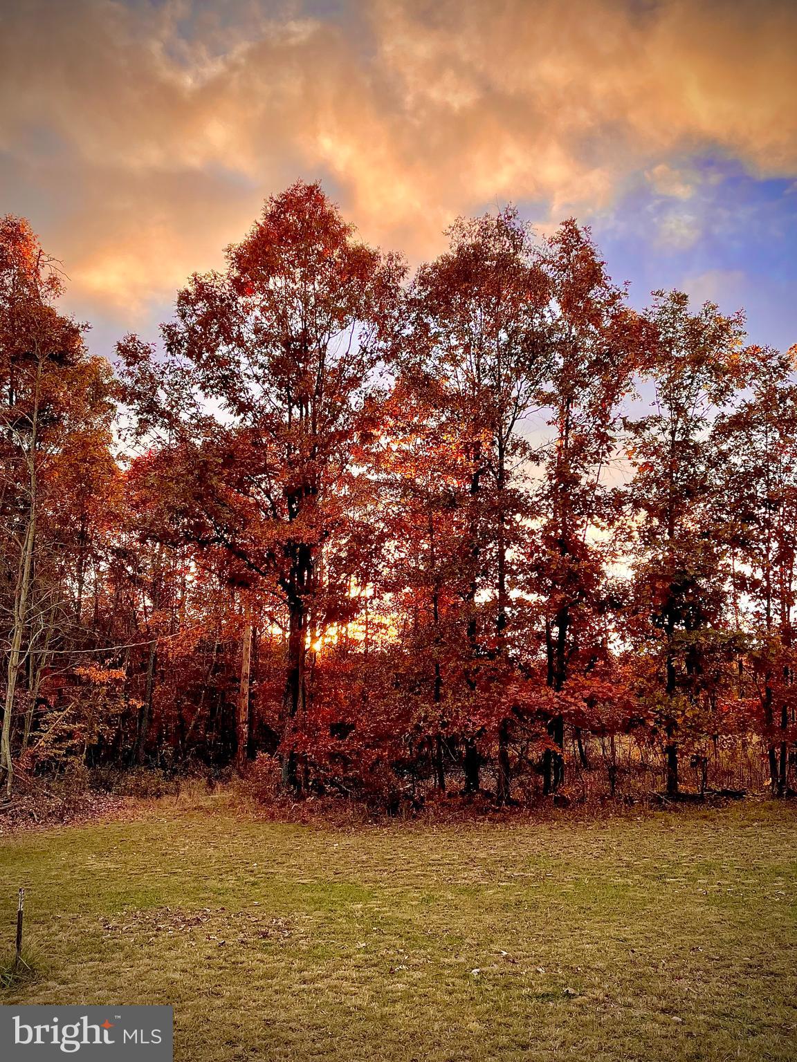 LAKE FERNDALE - Residential