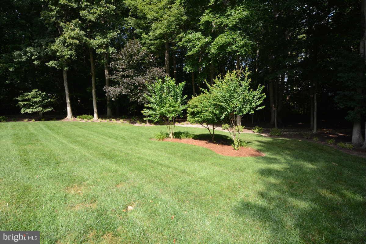 LAKE RIDGE - Residential