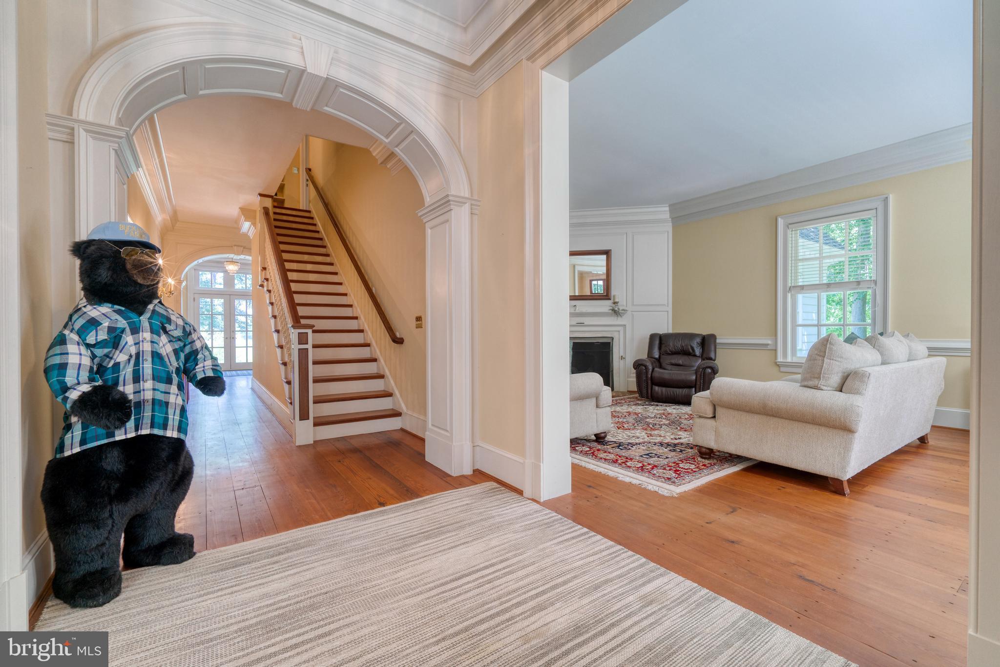 CHESTON ON WYE - Residential