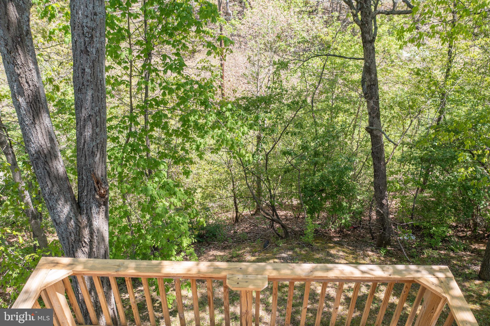 COUNTRY PARK - Residential