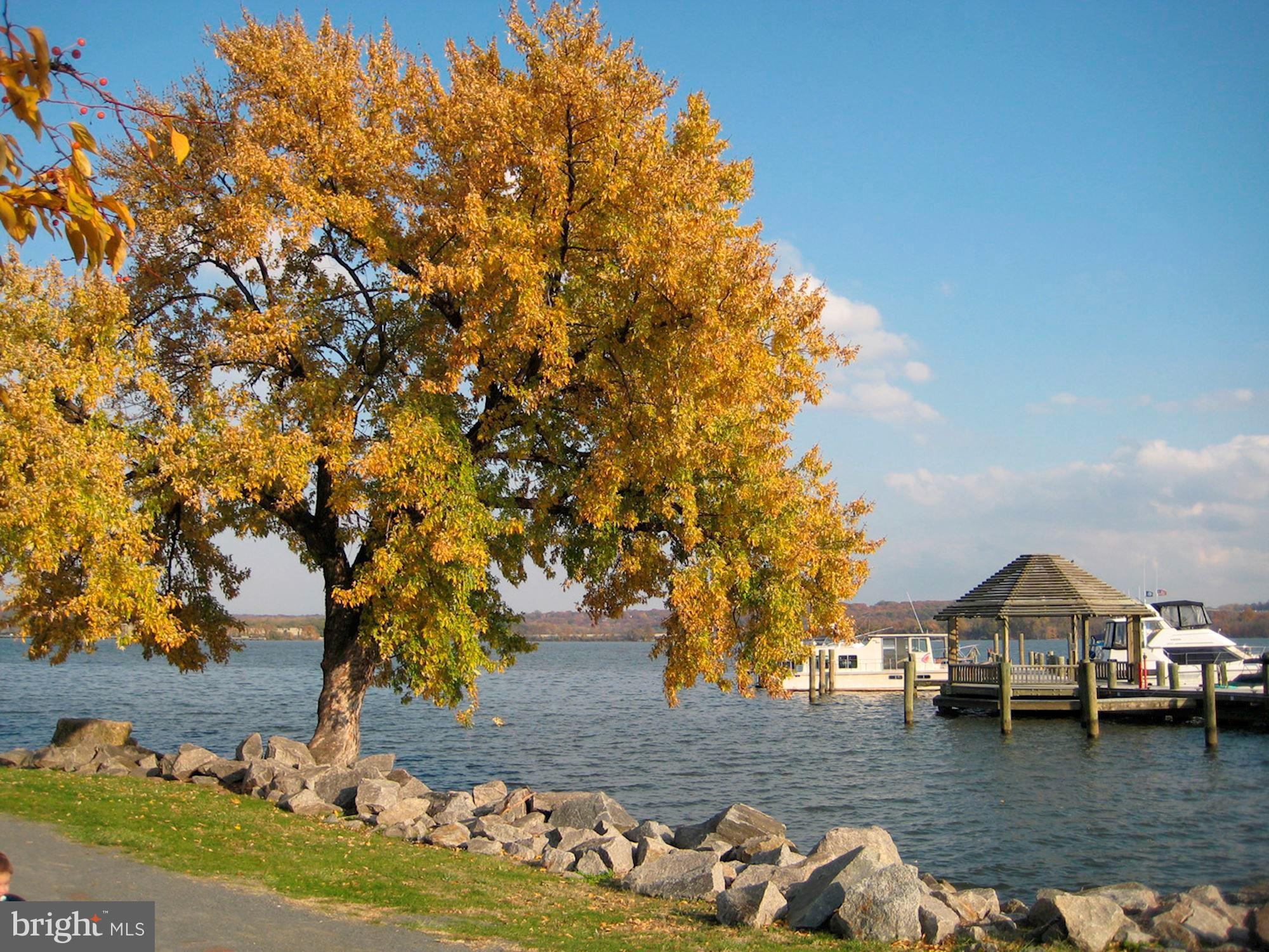 PORT ROYAL CONDOMINIUM - Residential