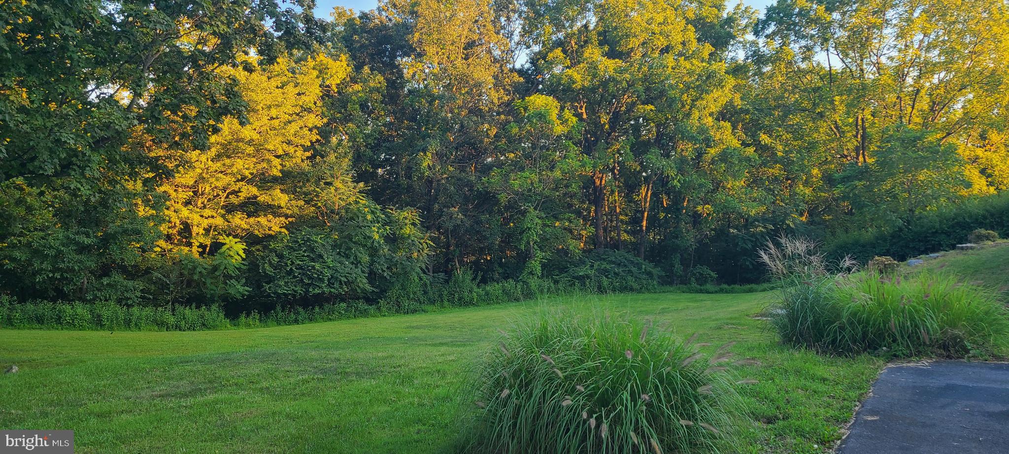 WILDERNEST - Residential