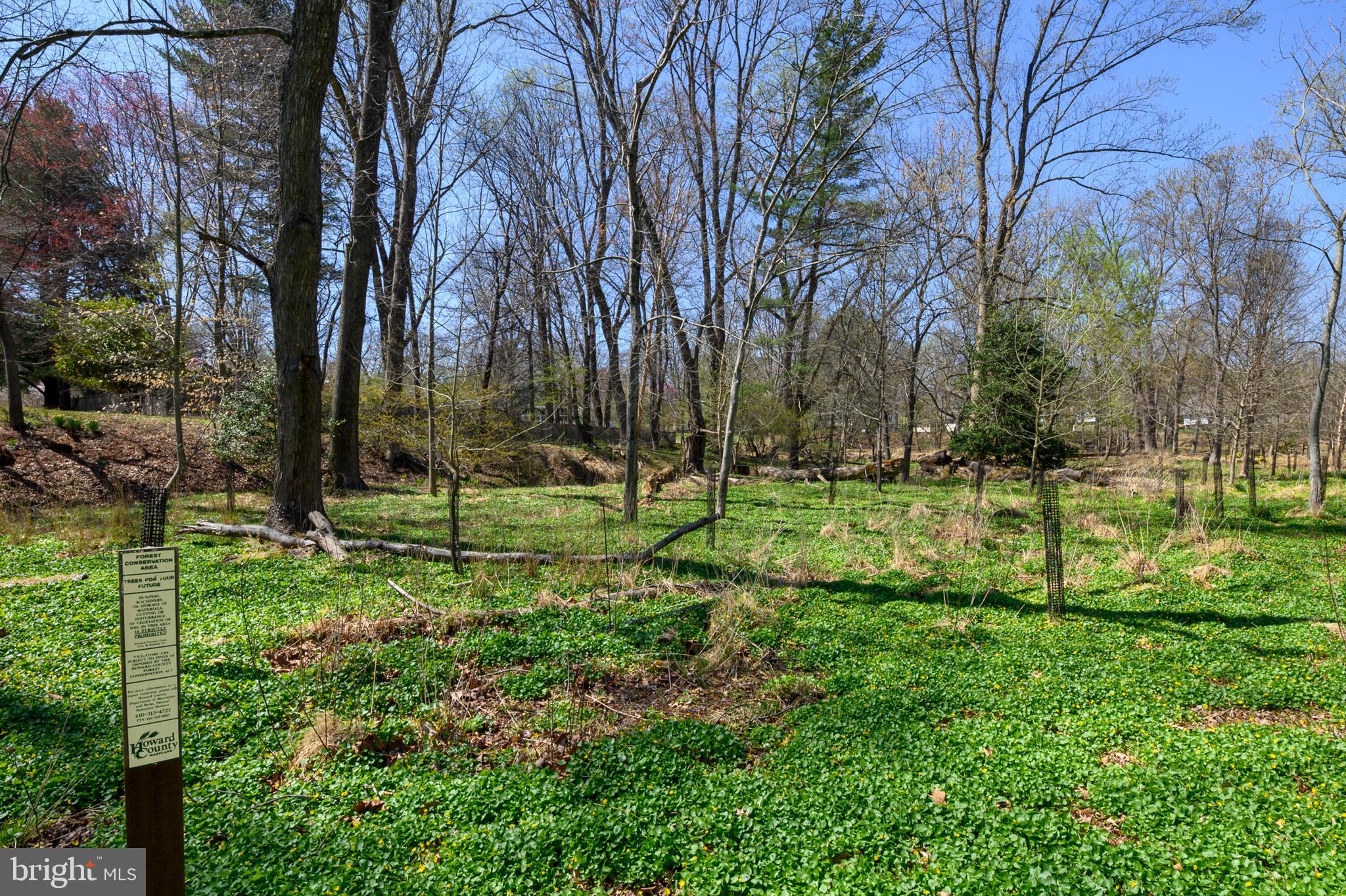 FONT HILL - Residential