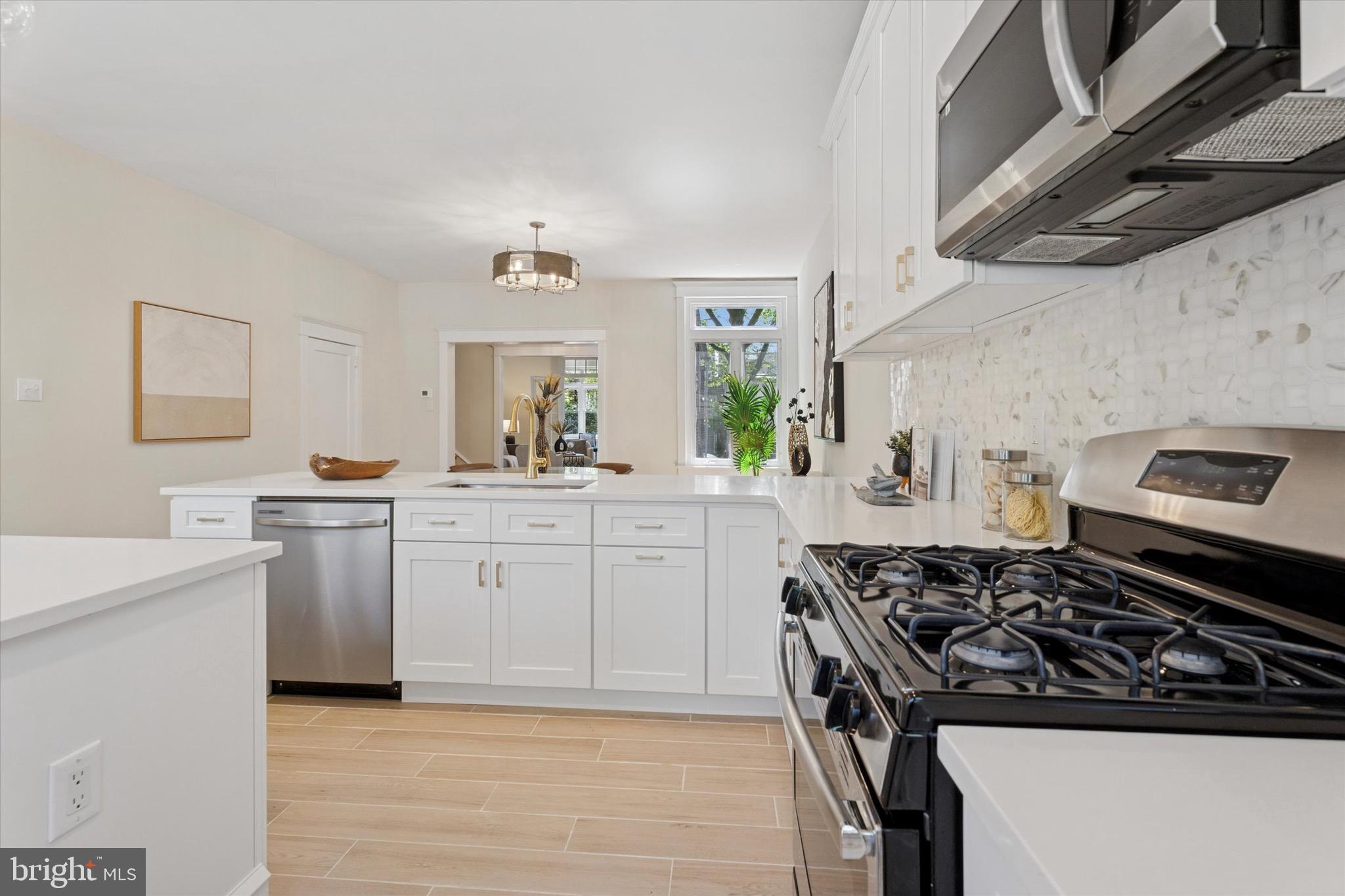 CHESTNUT HILL - Residential