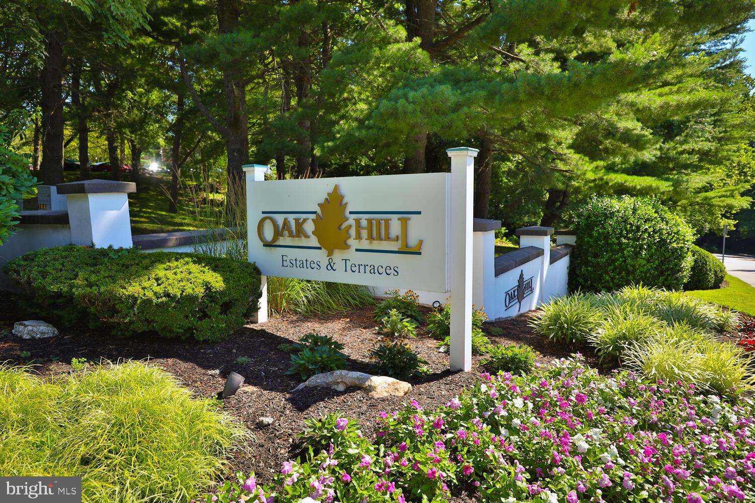 OAK HILL - Residential