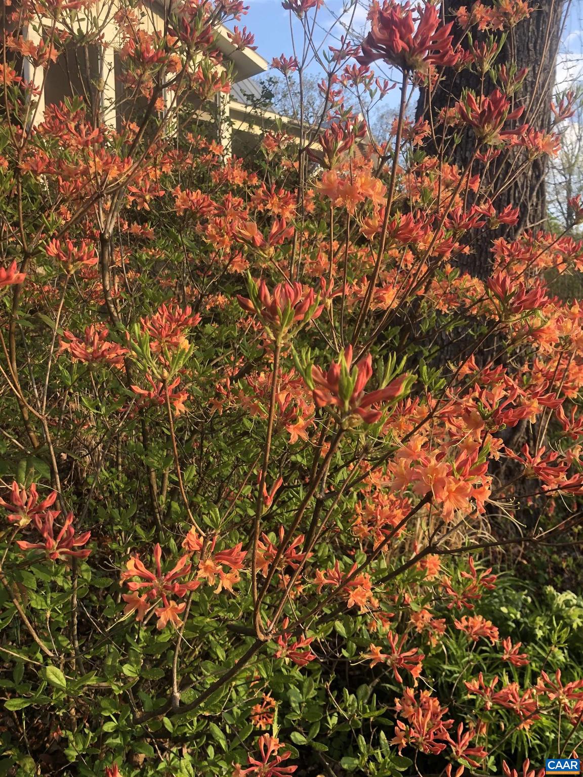BUNDORAN FARM - Residential