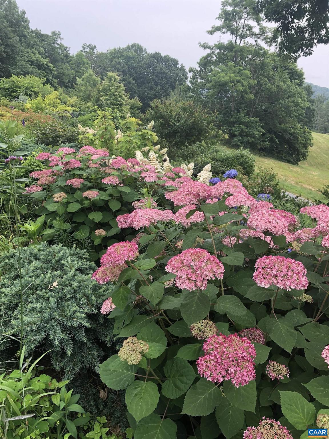 BUNDORAN FARM - Residential