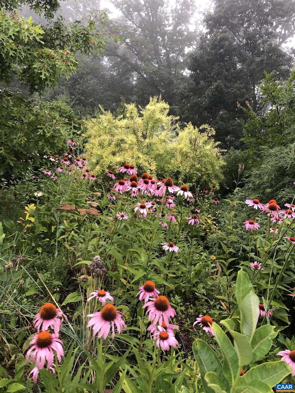 BUNDORAN FARM - Residential