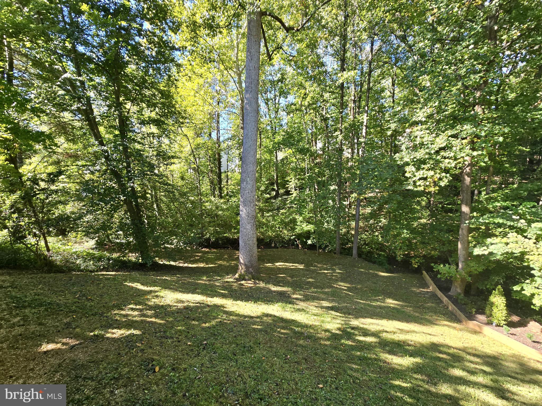 15422 SILVAN GLEN DRIVE