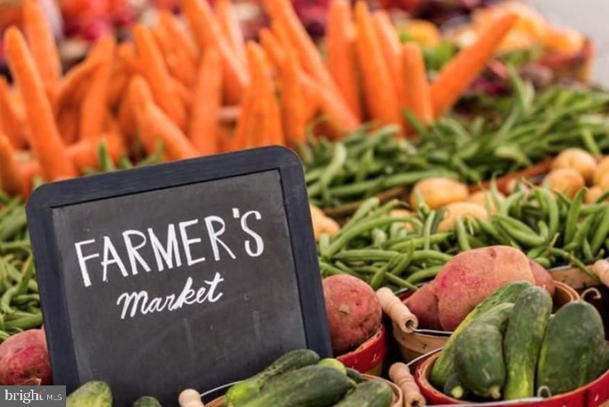 BURKE COVE - Residential