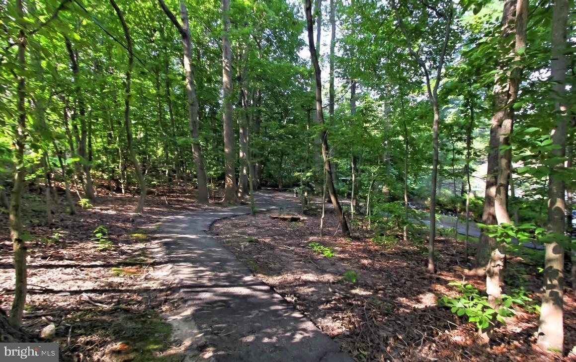 BURKE COVE - Residential