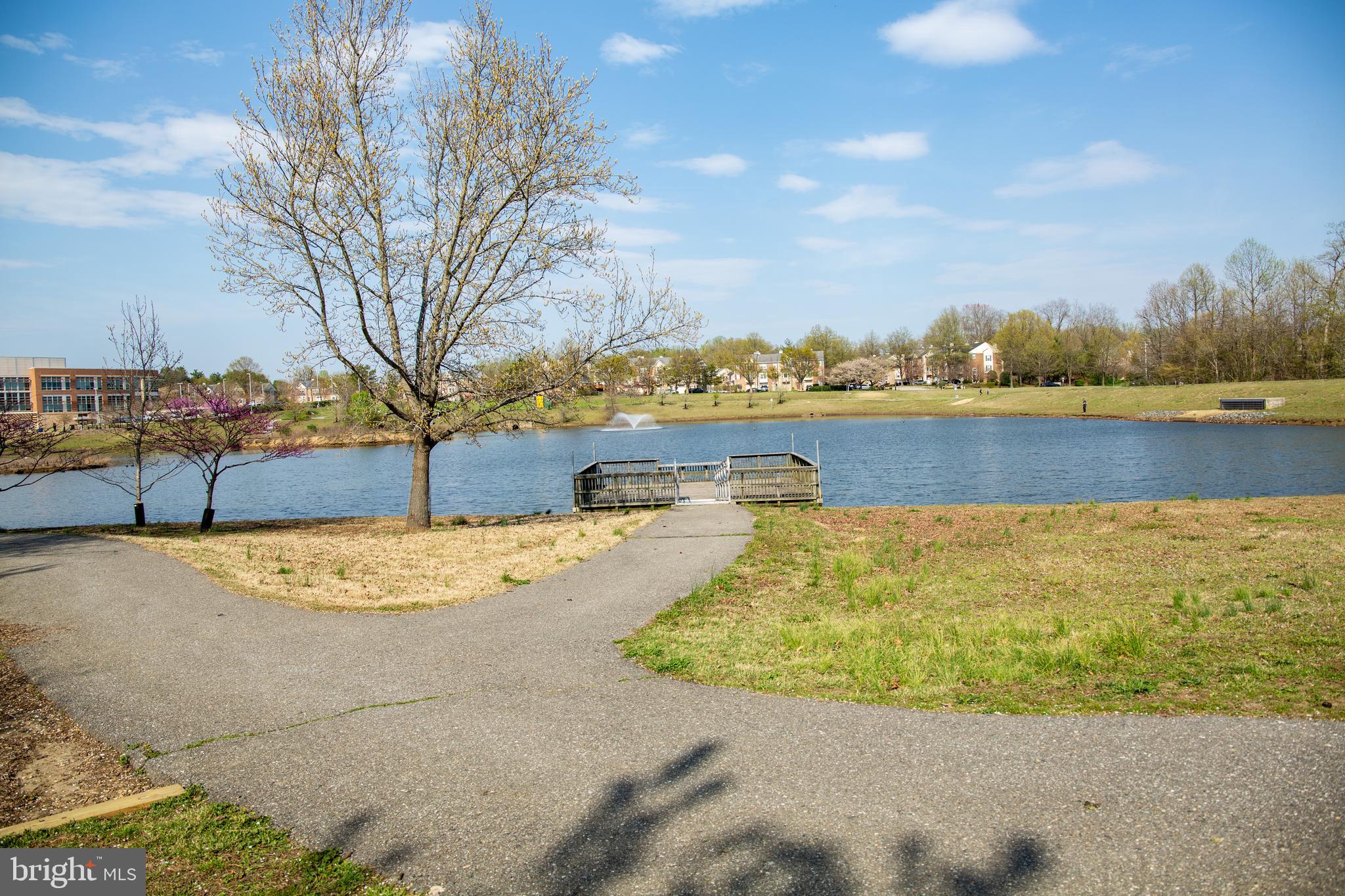 BOWIE TOWERS - Residential