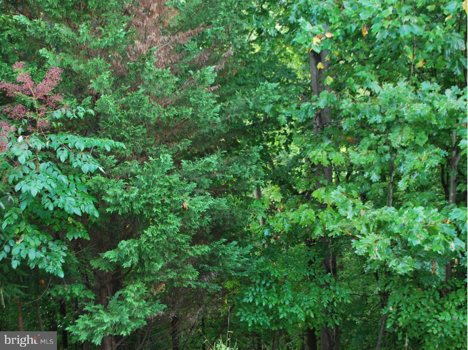 CRISFIELD CROSSING - Residential