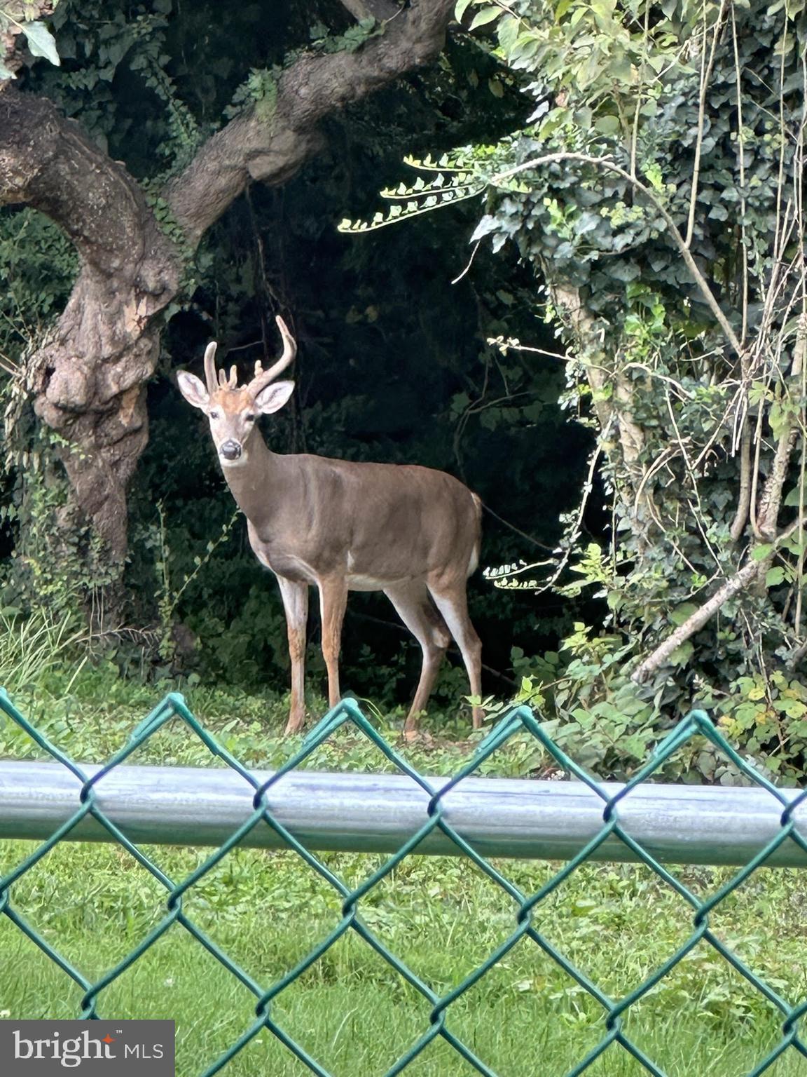 000 - Residential Lease