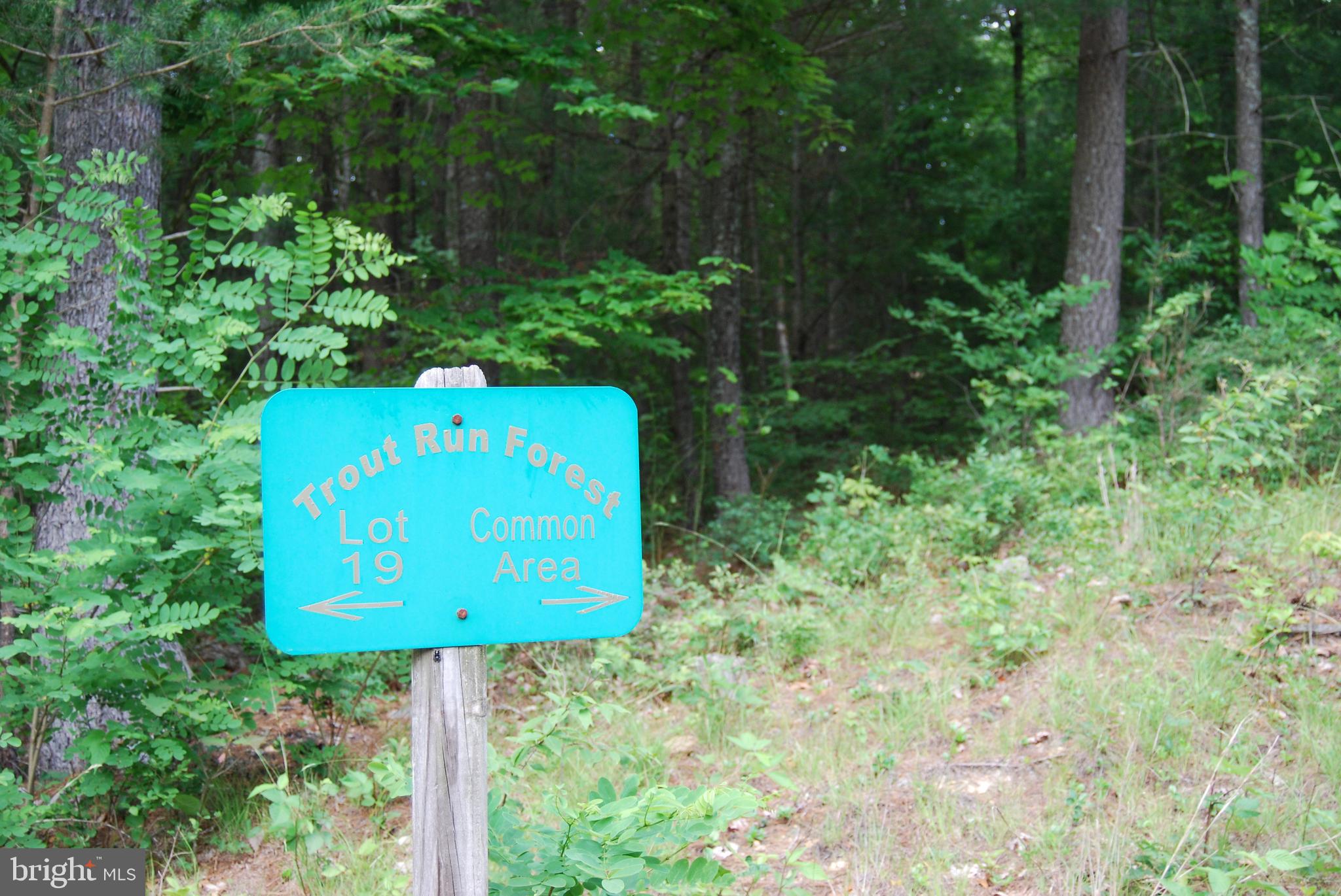 TROUT RUN FOREST - Land