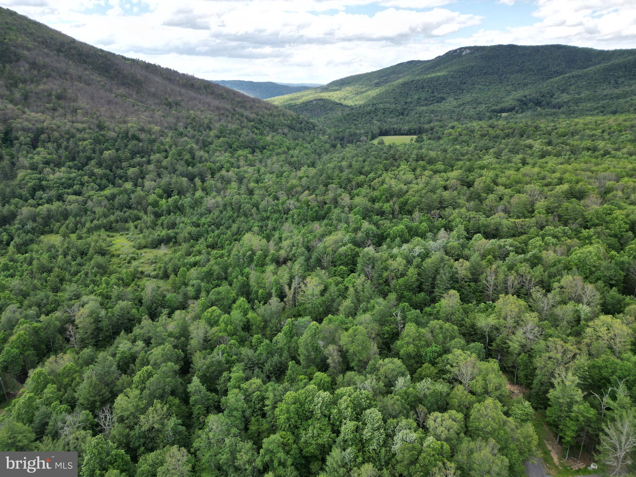 TROUT RUN FOREST - Land