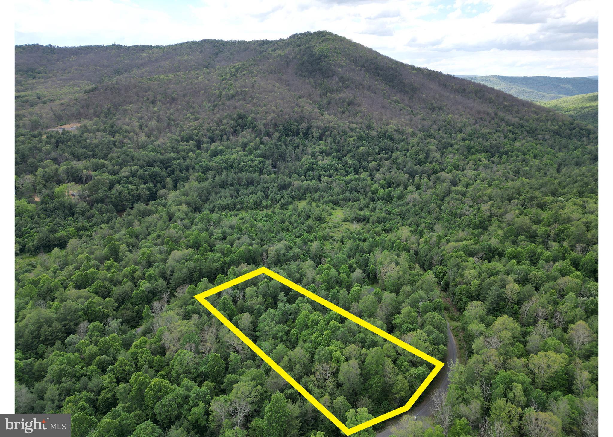TROUT RUN FOREST - Land
