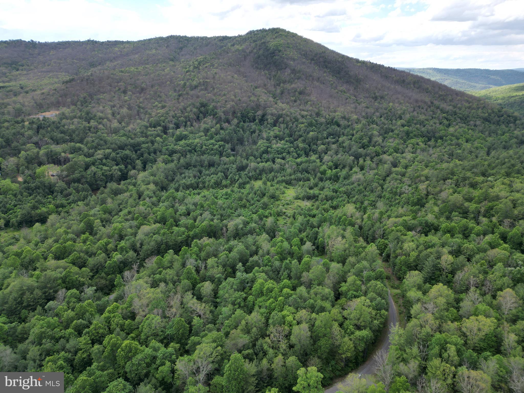 TROUT RUN FOREST - Land