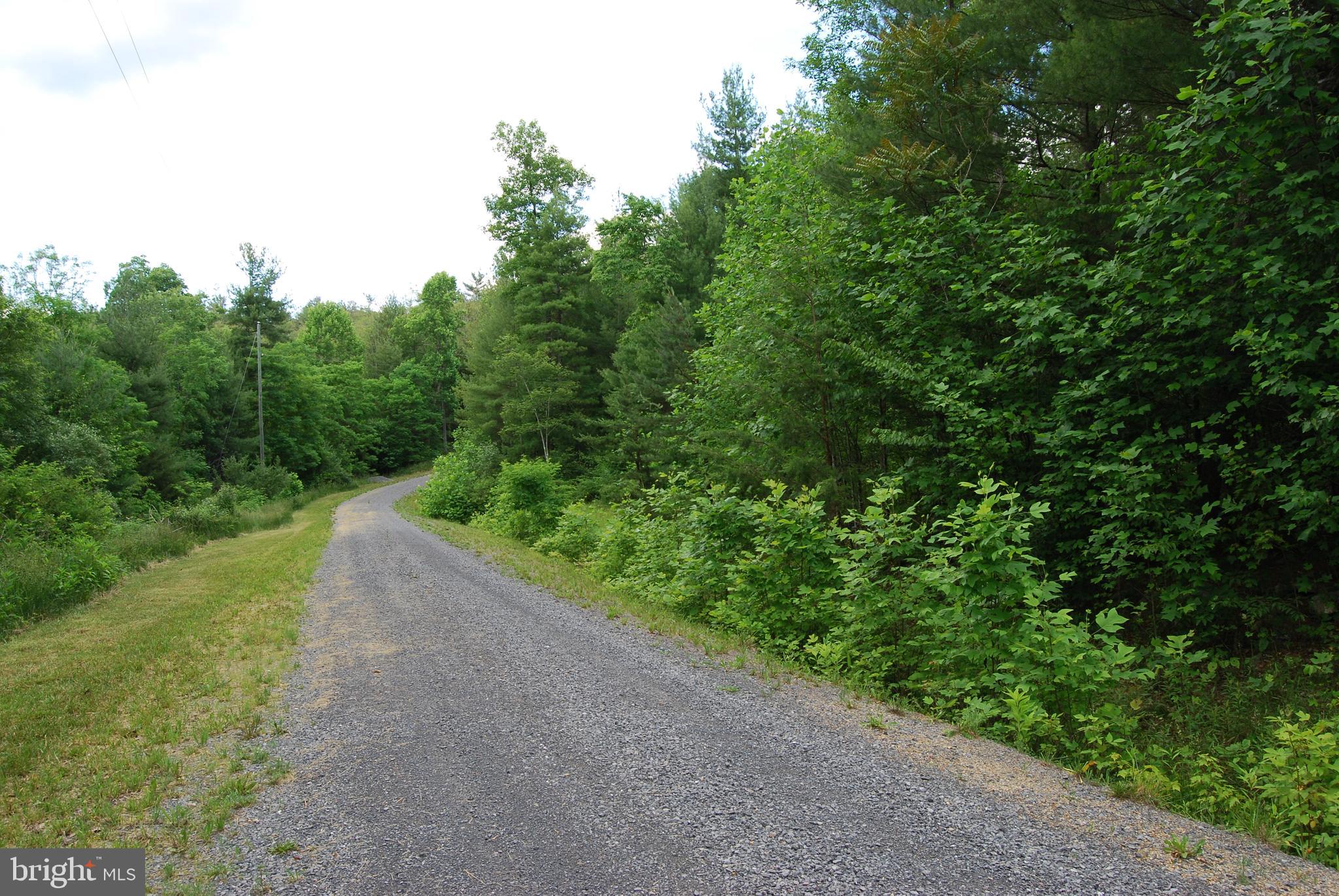TROUT RUN FOREST - Land