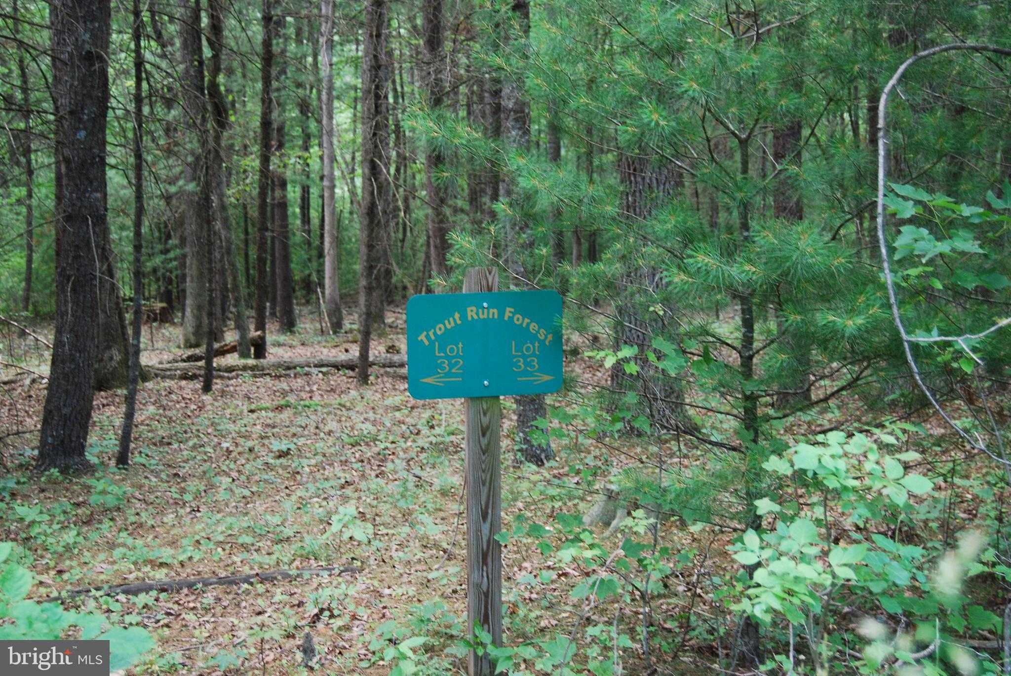TROUT RUN FOREST - Land